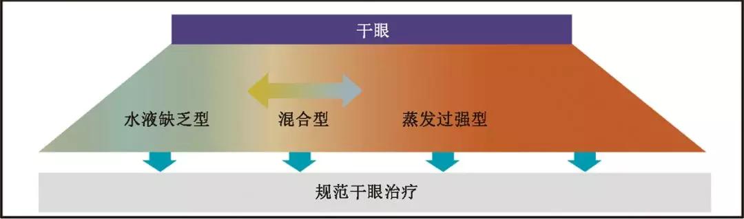 上部示干眼的临床表现分类,下部示干眼的病因分类图2 第2版国际干眼