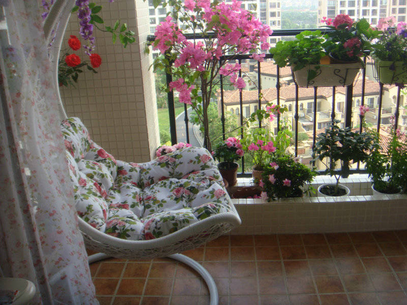 4㎡的阳台"迷你花园",雅室何须大,花香不在多!