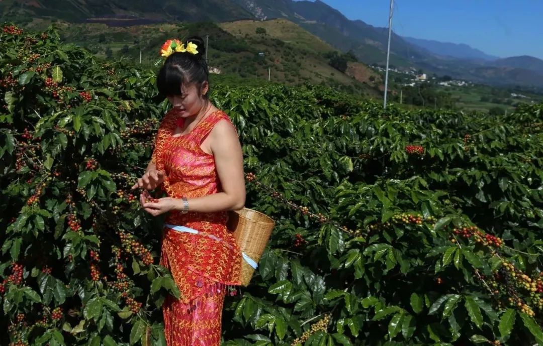 潞江坝 突破季节和时令的限制体验少数民族非物质文化遗产让我们