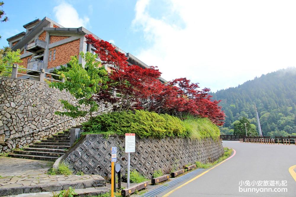 难得一见的夏季火红美景 宜兰太平山庄红叶隧道 雪花新闻