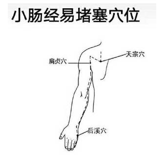 路新宇经络处方各类疼痛自我搞定