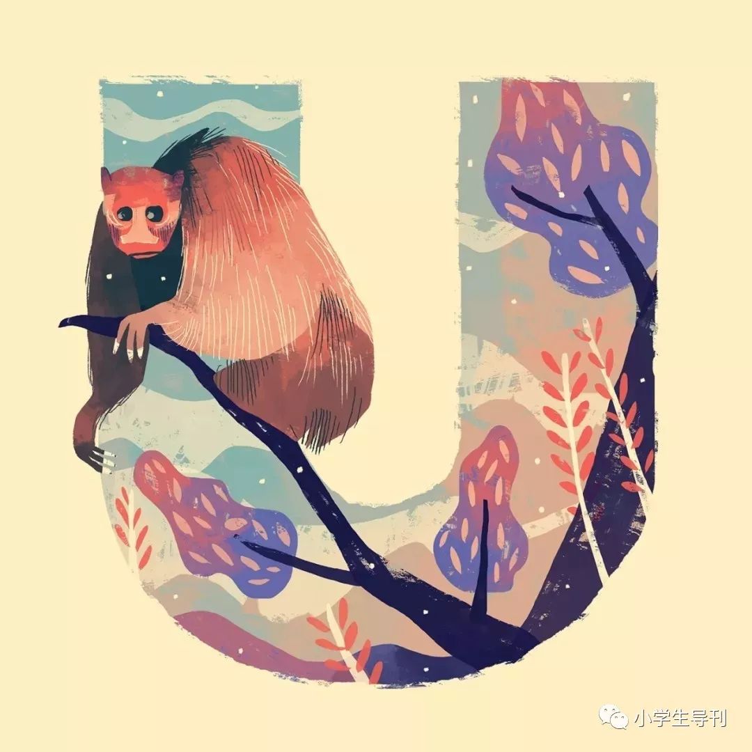 u for uakari(秃猴)