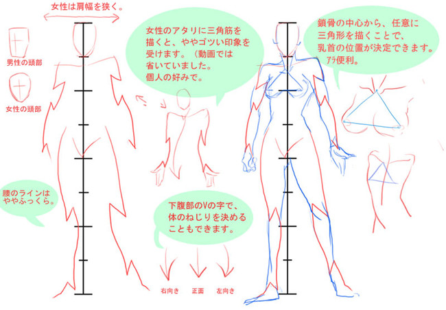 全套 初学二次元动漫男女人体画法步骤 雪花新闻