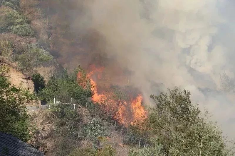 案发后23小时攀枝花密地村森林火灾放火嫌疑人被抓获