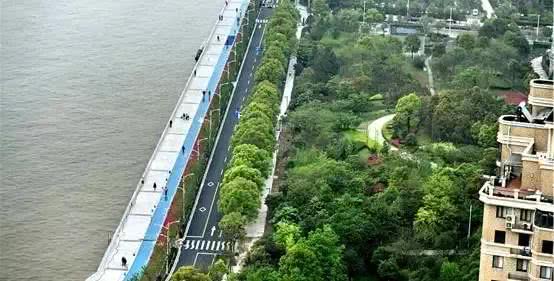 杭州首个夜跑河道要来了!从西湖可以沿游步道走到运河