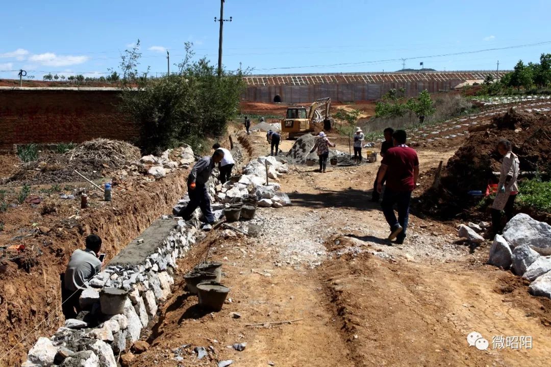 建设中的园区道路供水管网建设养殖区土地平整据介绍,该项目是昭阳区