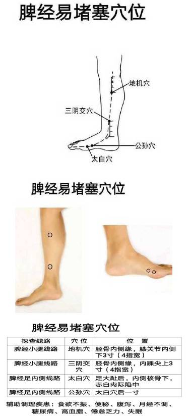 3  脾经易堵塞穴位