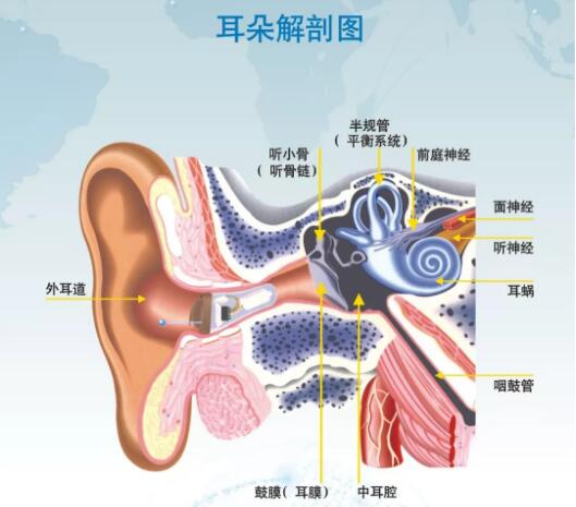 腔()人口_人口普查