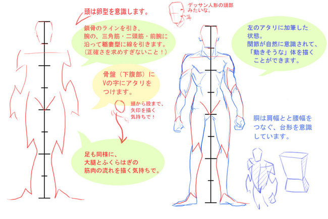 全套 初学二次元动漫男女人体画法步骤 雪花新闻