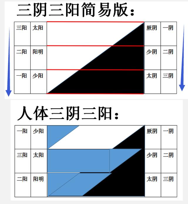 其实,这个顺序相当于简易版三阴三阳图都往下增加一组,然后把一阳和