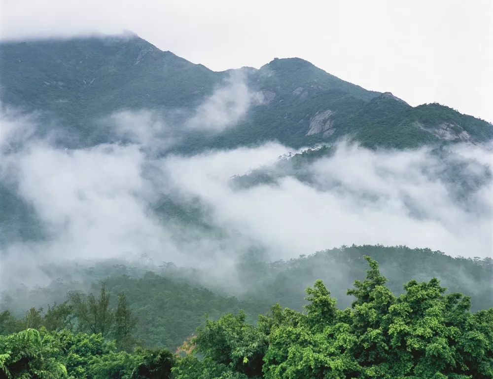 它位于罗浮山西南麓 是著名的佛教胜地 ▽ 它位于象头山国家森林公园