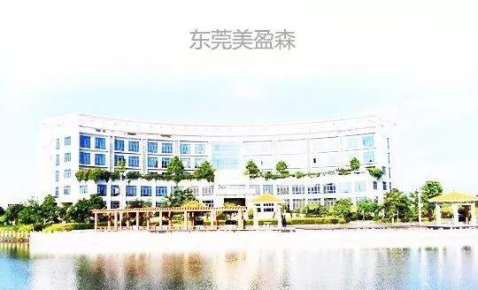 案例分享东莞市美盈森环保科技有限公司分布式光伏项目