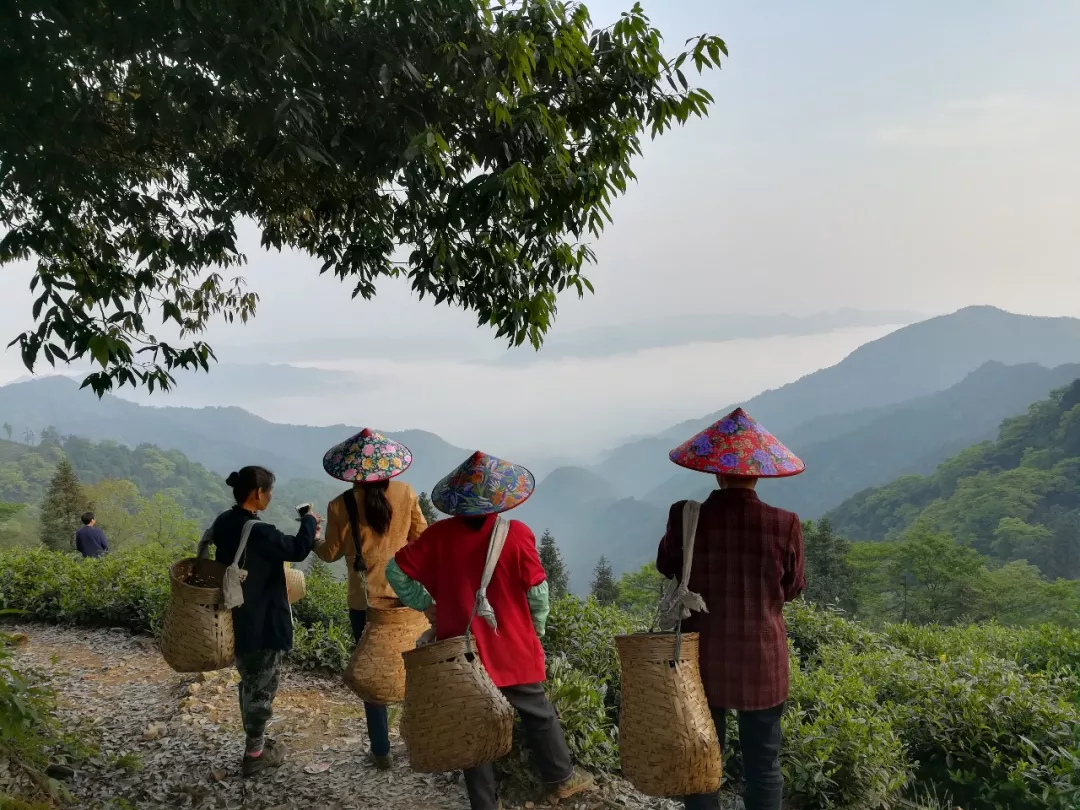 万州 地理 人口_中国1:100万县级人口分布图 图/知识系统官网-佳格天地联合中科(3)