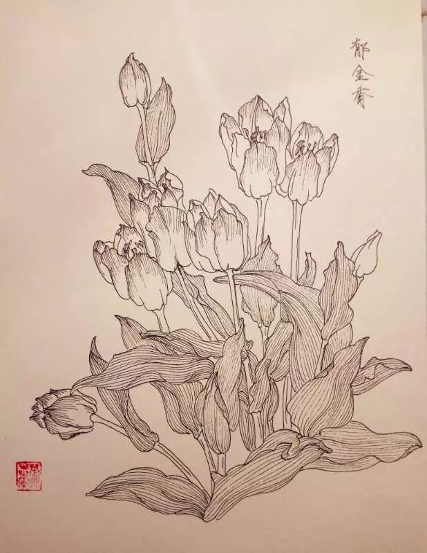 叶志军先生的钢笔白描花卉作品分享