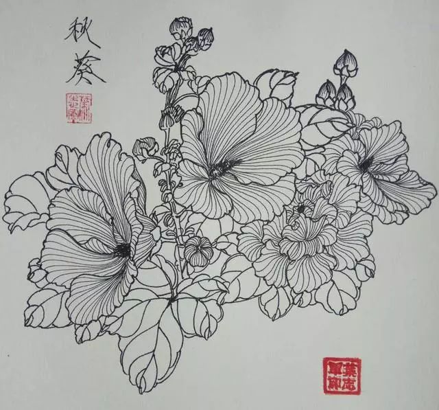 叶志军先生的钢笔白描花卉作品分享