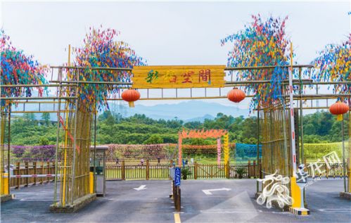 乡村旅游让"候鸟"归巢 看梁平双桂田园的乡村振兴梦