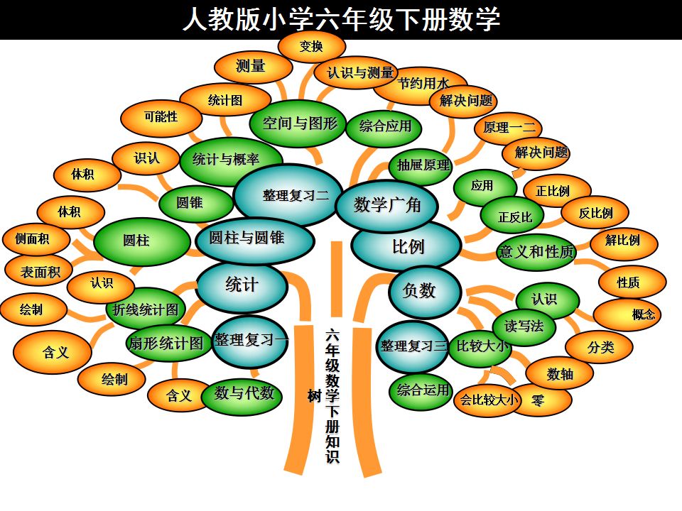 六年级数学下册知识树,所有考点重点都在这里了!