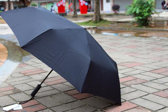 米家雨伞怎么搭_雨伞简笔画