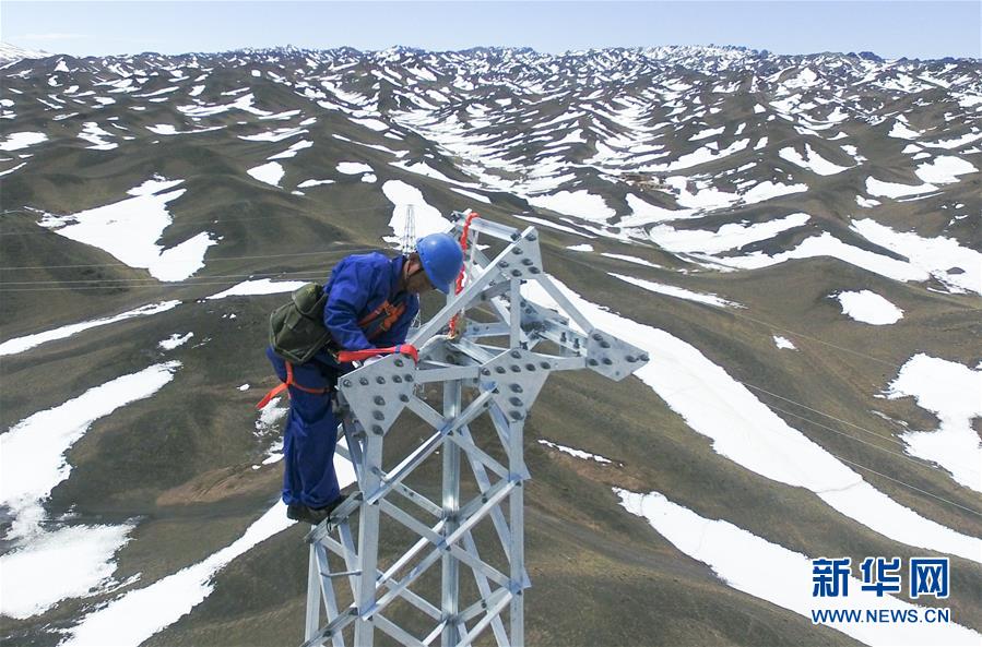 5月25日,电力施工作业人员在高空组立后峡35千伏输电线路工程24号杆塔