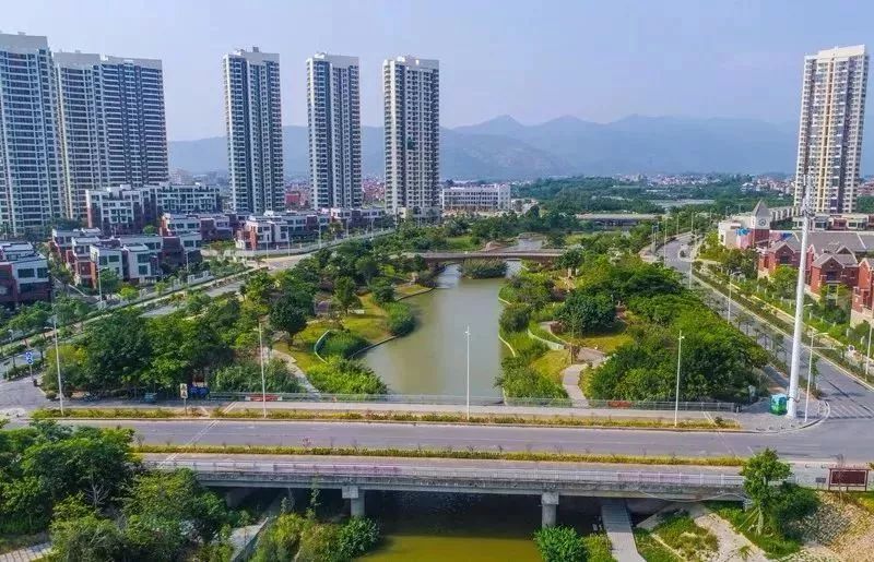 东溪带状湿地公园 是同安的"城市绿肺 也是同安最大的湿地公园 联接