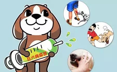 狂犬病病毒不只存在于病犬身上,常见的 猫,老鼠和蝙蝠也可能携带病毒