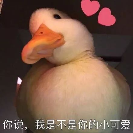 吸鸭让你快乐