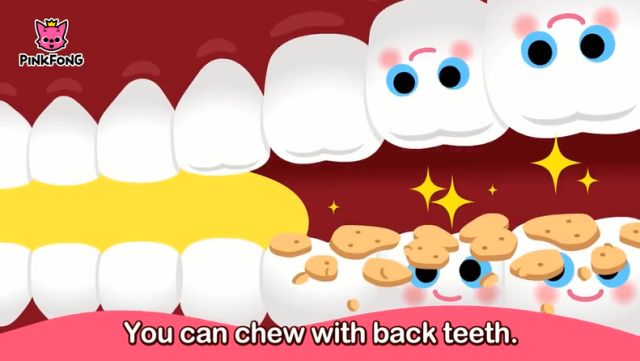 母婴 正文 (你)用尖利的牙齿咬碎食物 you can chew with back teeth