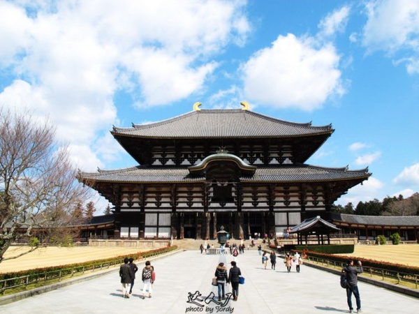 关西奈良大阪,古老的寺庙,宁静祥和的禅花园