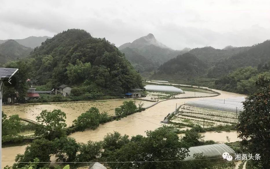 永顺遭遇洪灾,灵溪镇北门村400多名群众被转移