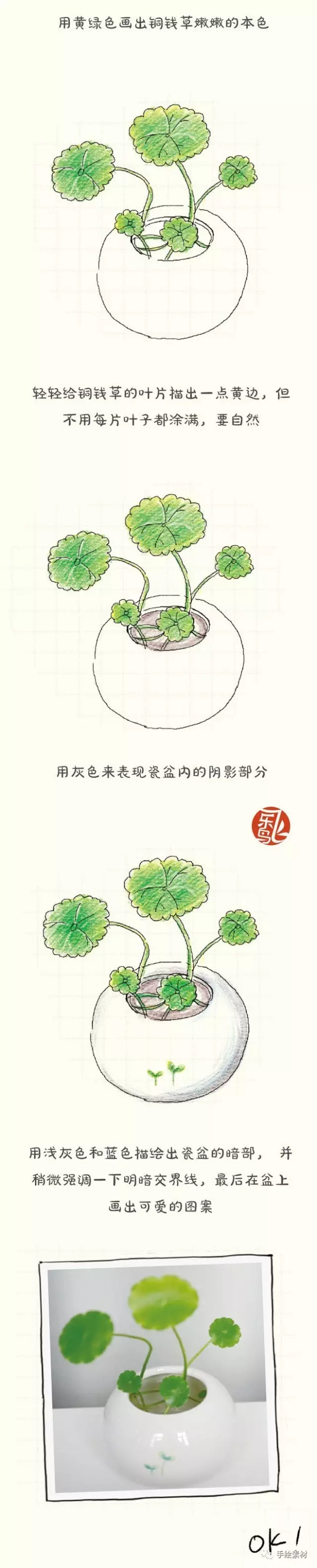 彩铅大全|看看这些水彩和彩铅画的可爱的绿植铜钱草