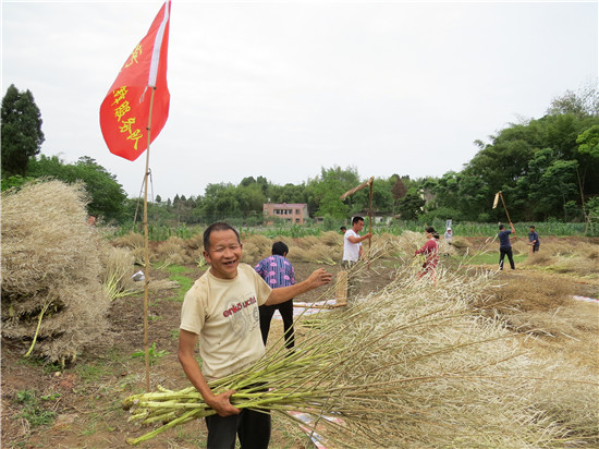 甘肃平凉63岁以上有多少人口_甘肃平凉车牌号是多少