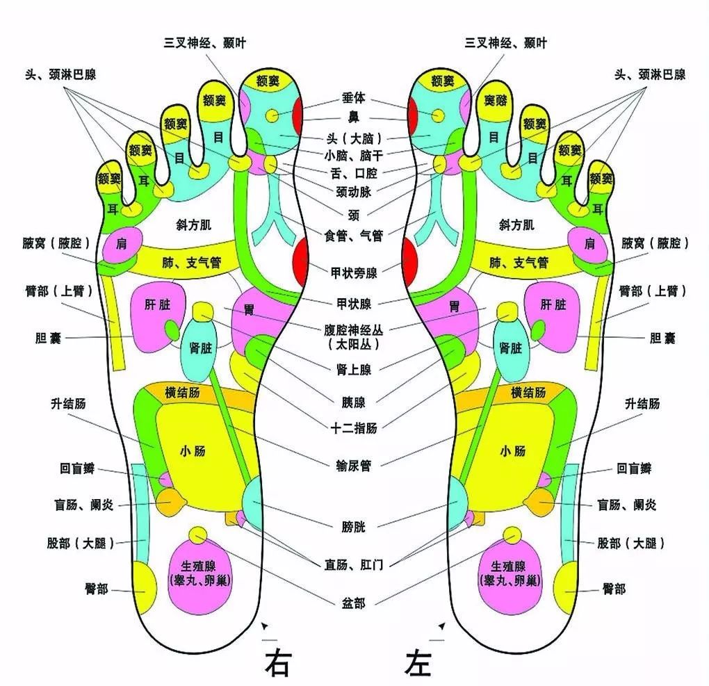 泰国皇家御用排毒祛湿贴,轻松在家就能做泰国足底马杀鸡,舒服到尖叫!