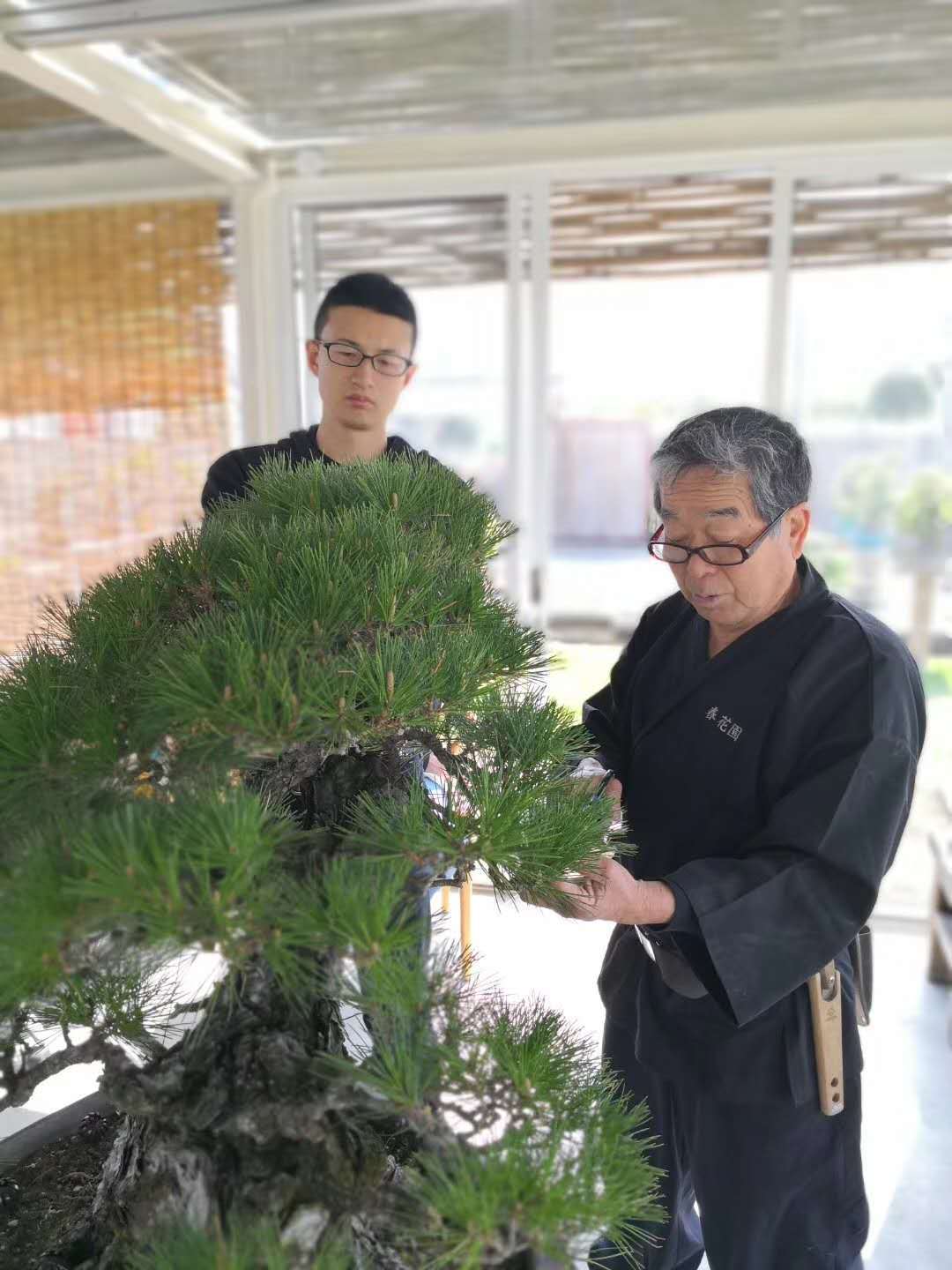 小林国雄在瀛洲三笑园盆景艺术最早源于中国,有史料考证唐朝时期已