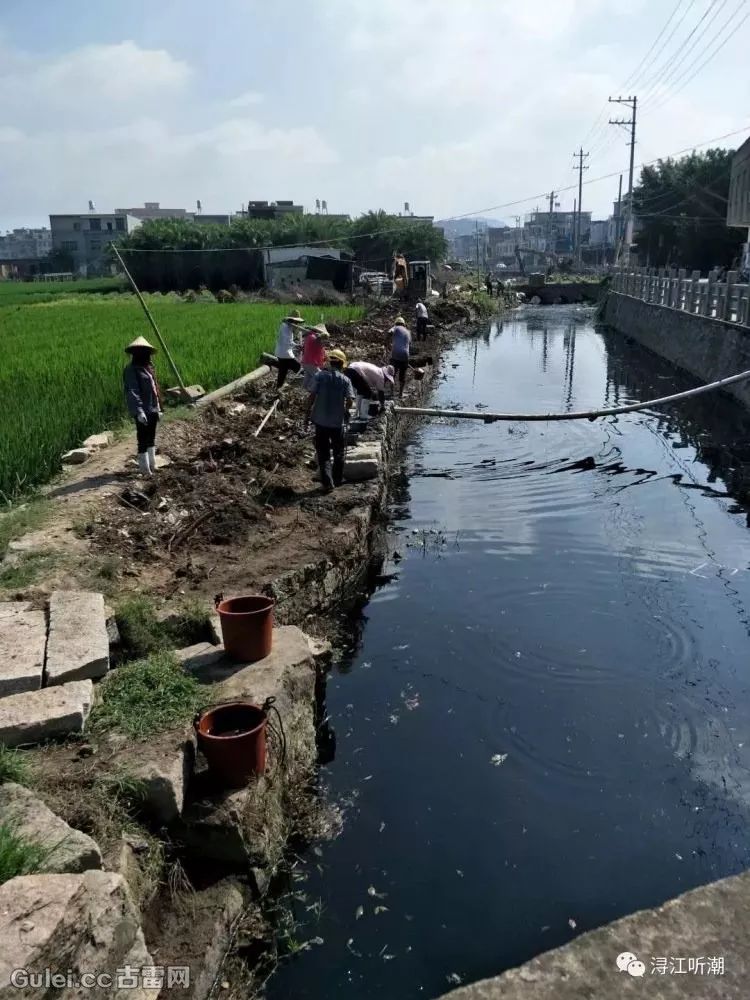 杜浔镇:溪流大整治,带你直击清理现场!