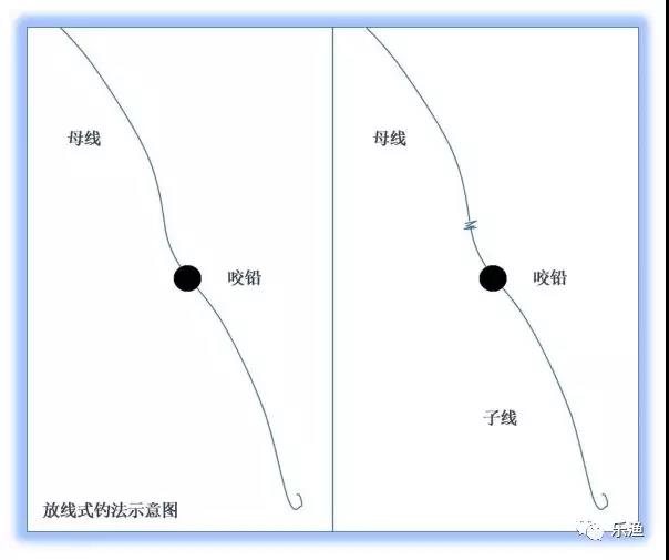 钓饵就会显现,此时长漂就会上升至水面; (3)若出现阿波急速下沉的鱼汛