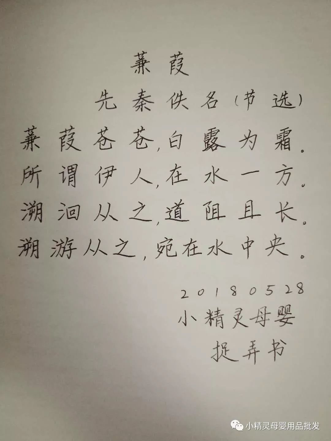 云中歌蒹葭苍苍简谱_云中歌中蒹葭苍苍 白露为霜歌曲是谁唱的