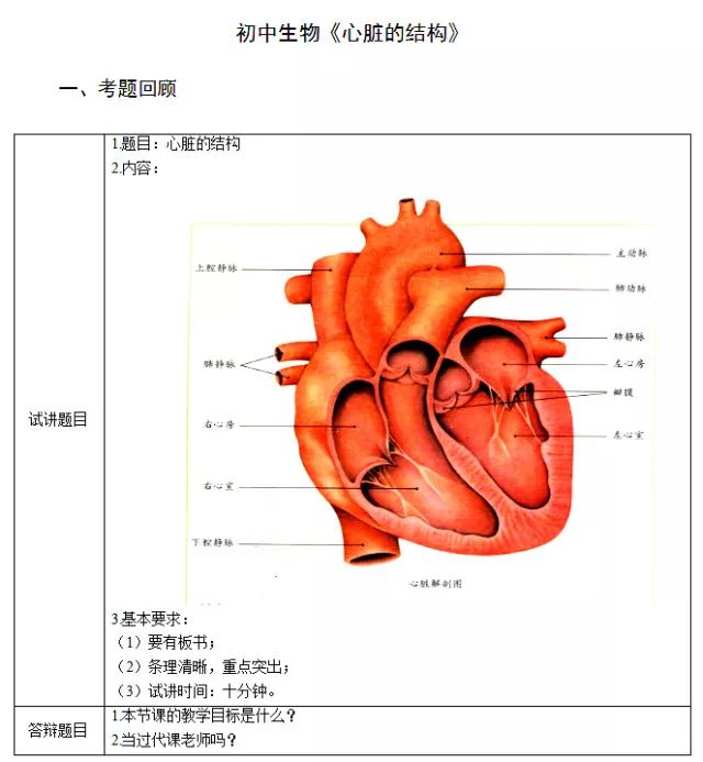 其实,在我们的身体里也有一个类似于"水泵"的结构,这就是"心脏".