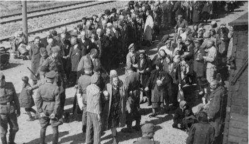 中国收留犹太人犹太人却想在中国建国最终惹来众怒驱逐出境