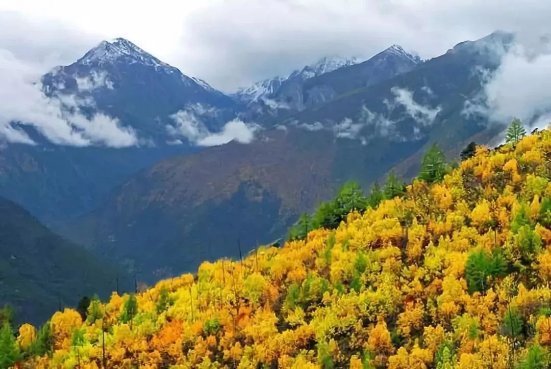 绚丽多彩的山峰 俄初山藏语意为"闪光之山,从峡谷往上行走,层层叠叠