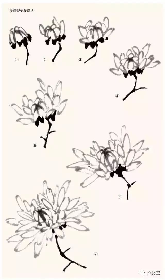 写意菊花画法,清晰明了