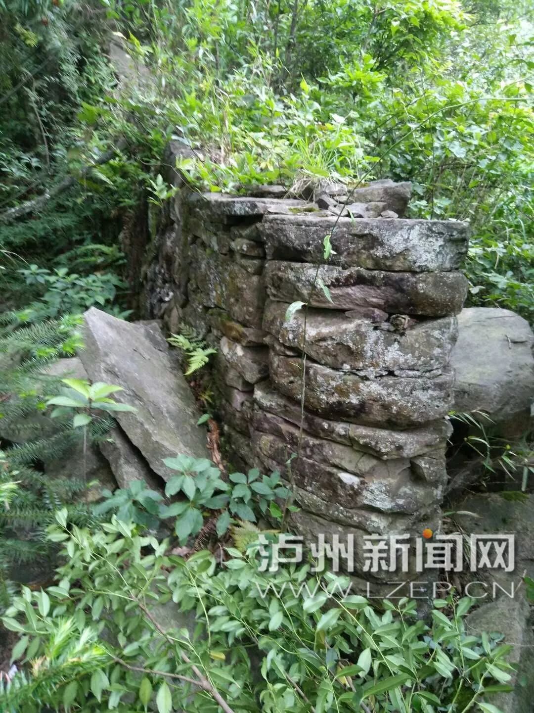 见证80多年前的烽火硝烟泸州这个地方发现红军战壕和多处住地