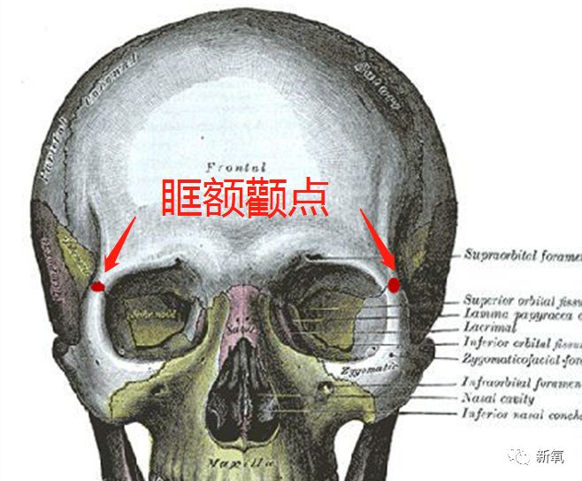 先回顾一个部位,眶额颧点,下图那两个红点的地方,恰好在几块骨头交合