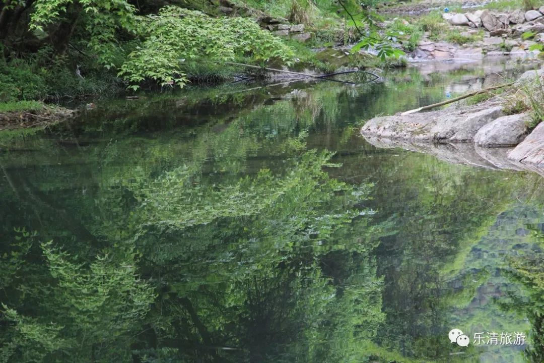 夏天来啦!在乐清寻一处地方感受风穿山涧的美好吧