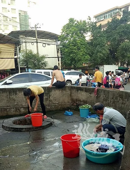 湛江有多少人口_湛江黄梅有多少公里(2)