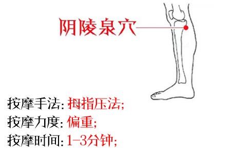 阴姓人口_中国的 阴 姓,先祖为何却是管仲 并且还人才辈出(3)