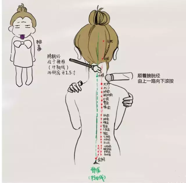 膀胱经是我们女人身上最长的一条经络,上面生长着67个(也称67对)穴位.