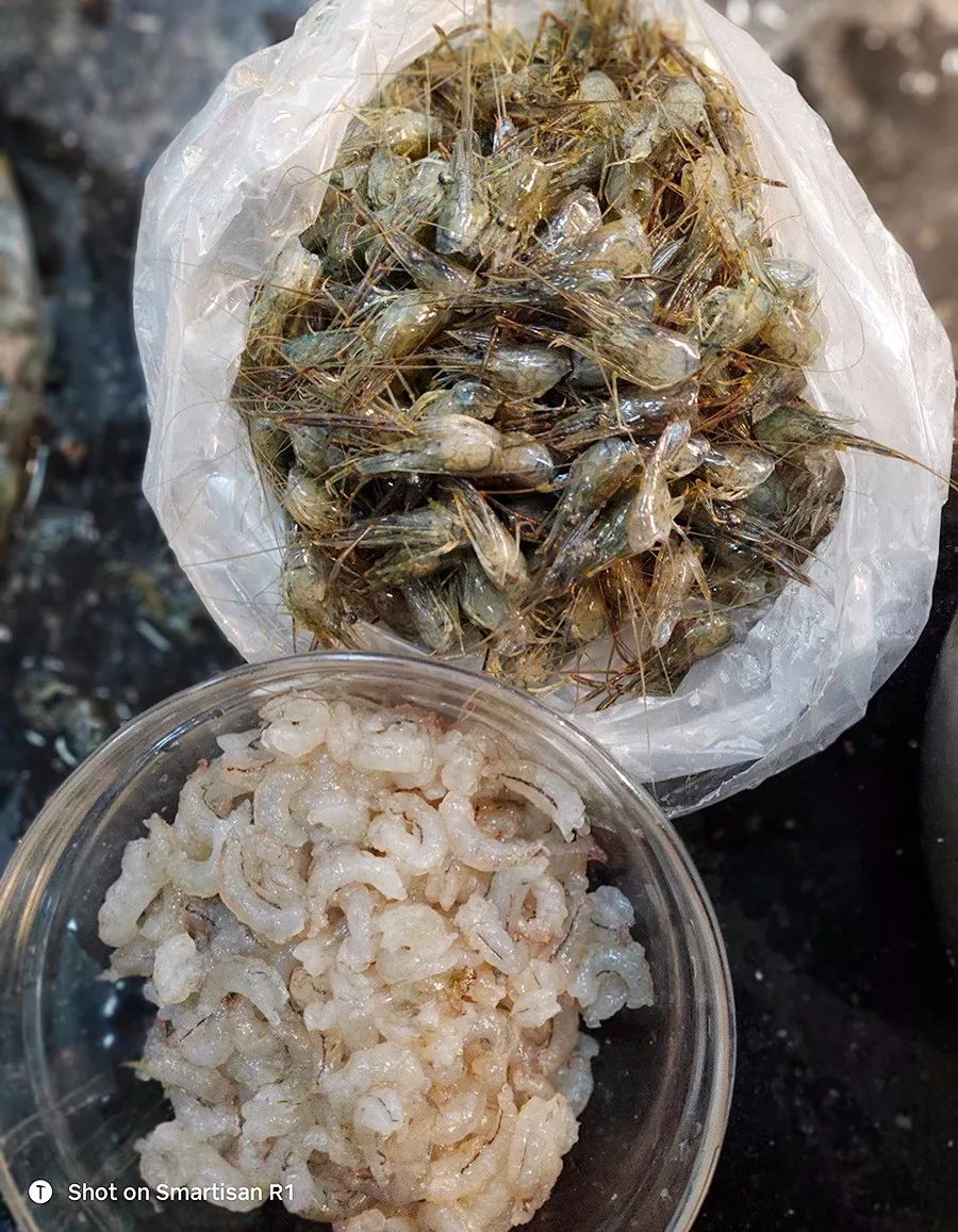 洗虾籽,剥虾脑,挤虾仁,花两小时做一碗三虾面.