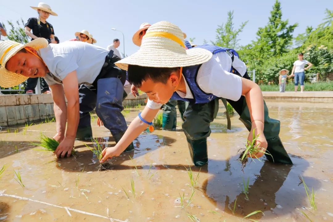 同学们脚穿插秧靴,头戴遮阳草帽,认真学习插秧的注意事项.