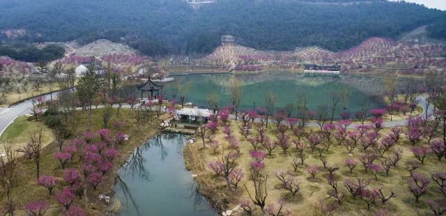 北枕着长江的香山风景区, 就是张家港"生态优先"的一个具体观照.