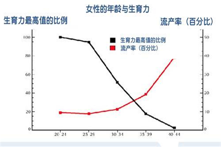 2019平均生育年龄